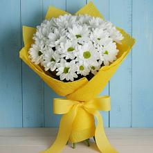 Букет цветов из:  Хризантемы в Пудоже
