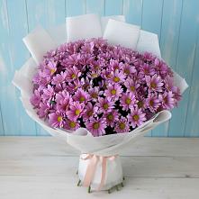 Букет цветов из:  Хризантемы в Пудоже