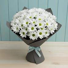 Букет цветов из:  Хризантемы #REPLACE_PRED# Пудоже