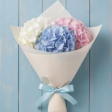 Букет цветов из:  Гортензия в Пудоже