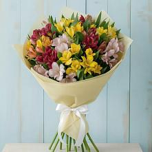 Букет цветов из:  Альстромерии в Пудоже