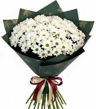 Букет цветов из:  Хризантемы #REPLACE_PRED# Пудоже