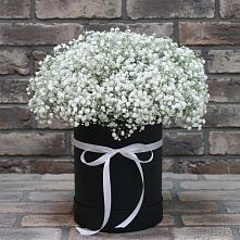 Цветочная композиция из Гипсофила в шляпной коробке в Пудоже