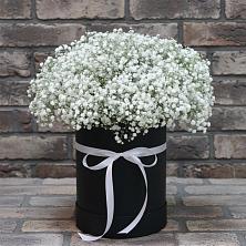 Цветочная композиция из Гипсофила в шляпной коробке в Пудоже