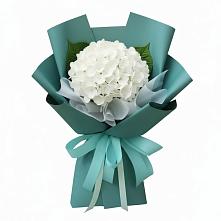 Букет цветов из:  Гортензия в Пудоже
